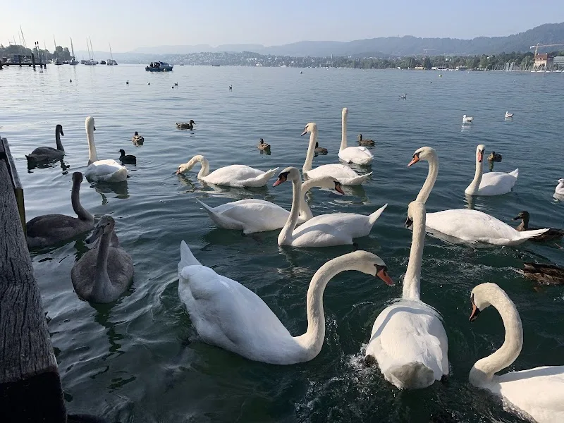 Zurich, Switzerland
